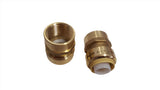 1" Push Fitting FPT (Female Pipe Thread) ~~Bag of 4~LEAD FREE!